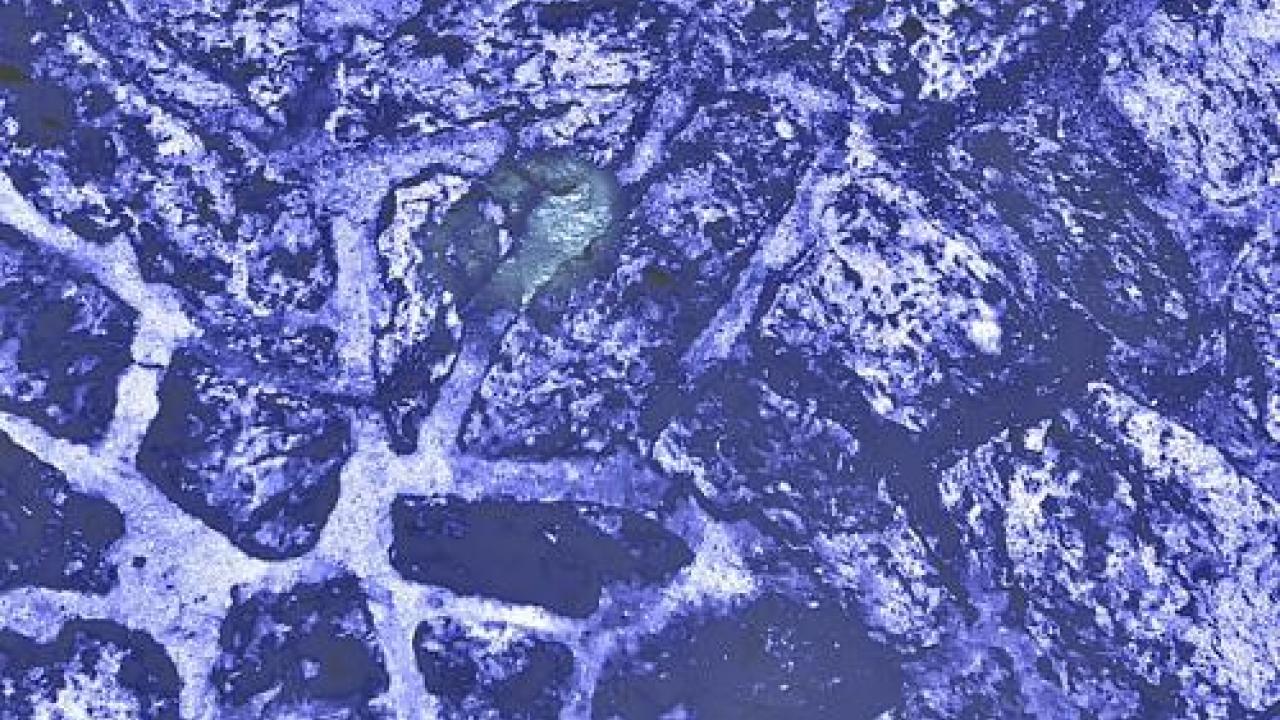 Abstract blue cover artwork for Arbata