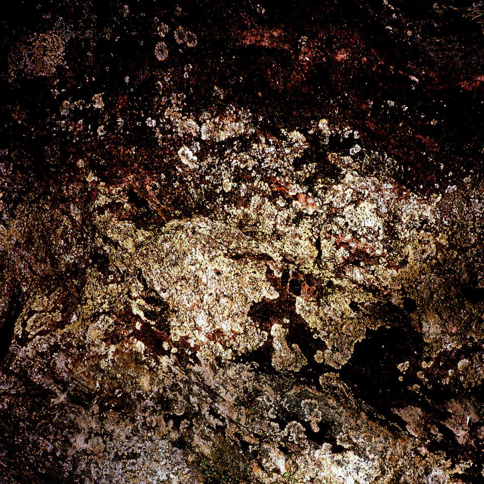 Cover artwork by Philipp Eden - a redish surface of a rock in a forest.
