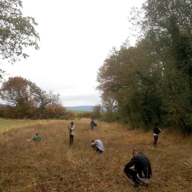 Gamut and Insub on the field, surrounded by trees, performing