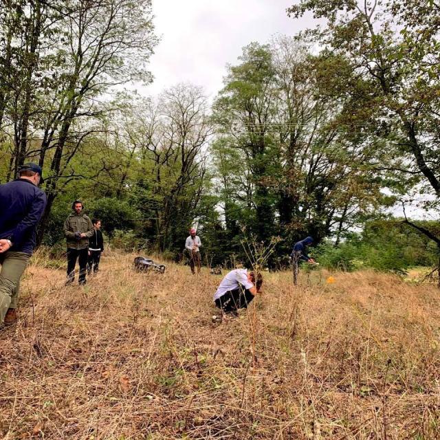 Gamut and Insub on the field, surrounded by trees, performing