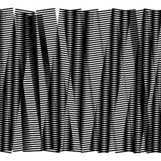 Graphic of the polytopies project